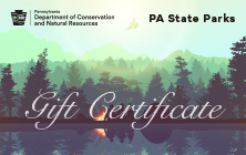 Gift Certificate